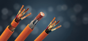 Image_as1atmas1atmas1a